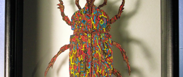 Psycheris-Beetle1(72)